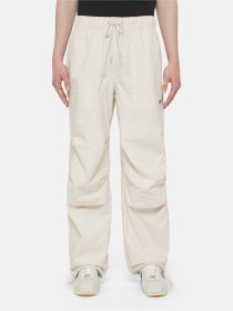 Карго Dickies Fishersville Модель DK0A4YSDF901 Фото