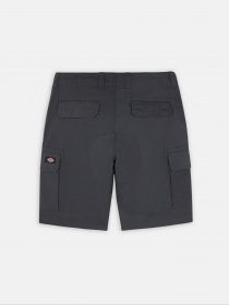 Шорти Dickies Millerville модель DK0A4XEDCH01 Фото