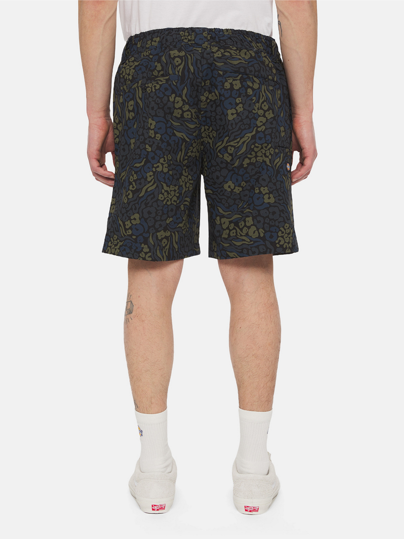 Шорти Dickies Saltville модель DK0A4YSHJ461 Фото