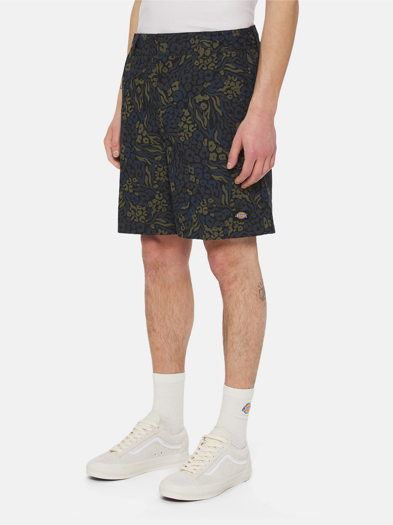 Шорти Dickies Saltville модель DK0A4YSHJ461 Фото