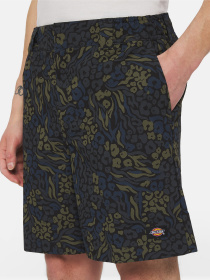 Шорти Dickies Saltville модель DK0A4YSHJ461 Фото