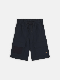 Шорты Dickies Fishersville Cargo модель DK0A4YSIDNX1 Фото