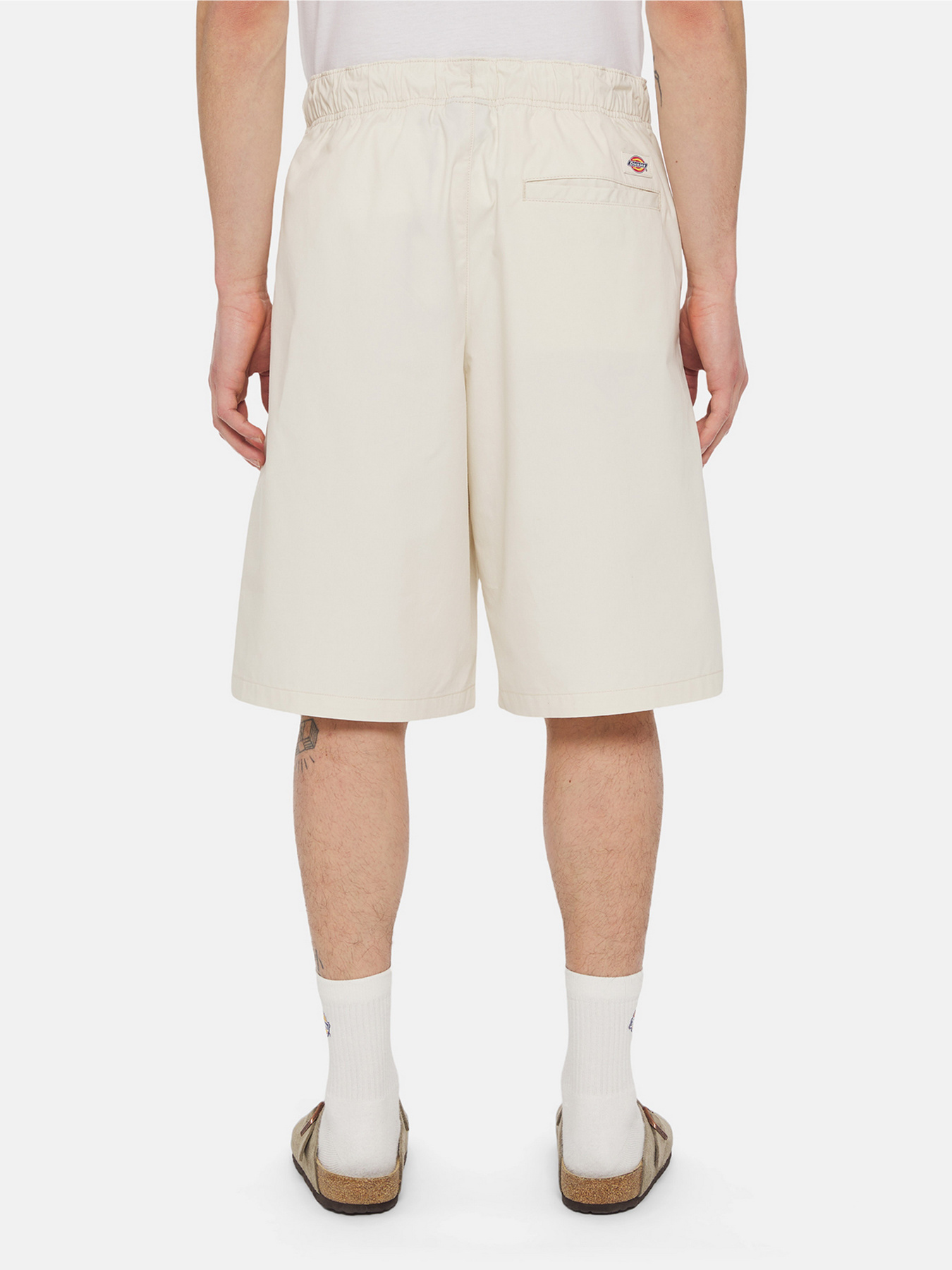 Шорты Dickies Fishersville Cargo модель DK0A4YSIF901 Фото