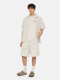 Шорты Dickies Fishersville Cargo модель DK0A4YSIF901 Фото