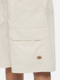 Шорты Dickies Fishersville Cargo модель DK0A4YSIF901 Фото