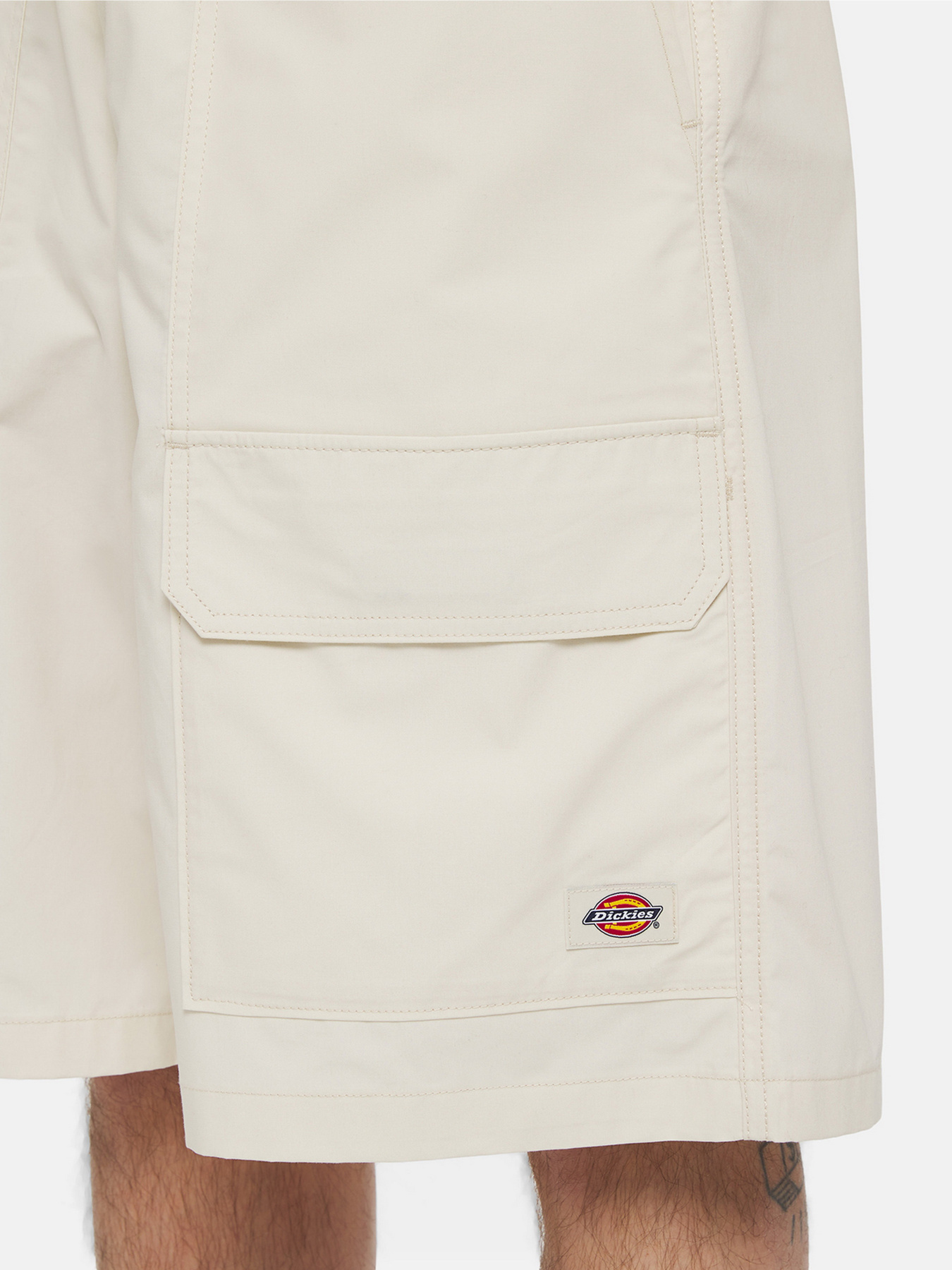Повсякденні шорти Dickies Fishersville Cargo модель DK0A4YSIF901 Фото