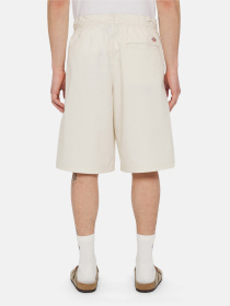 Повсякденні шорти Dickies Fishersville Cargo модель DK0A4YSIF901 Фото