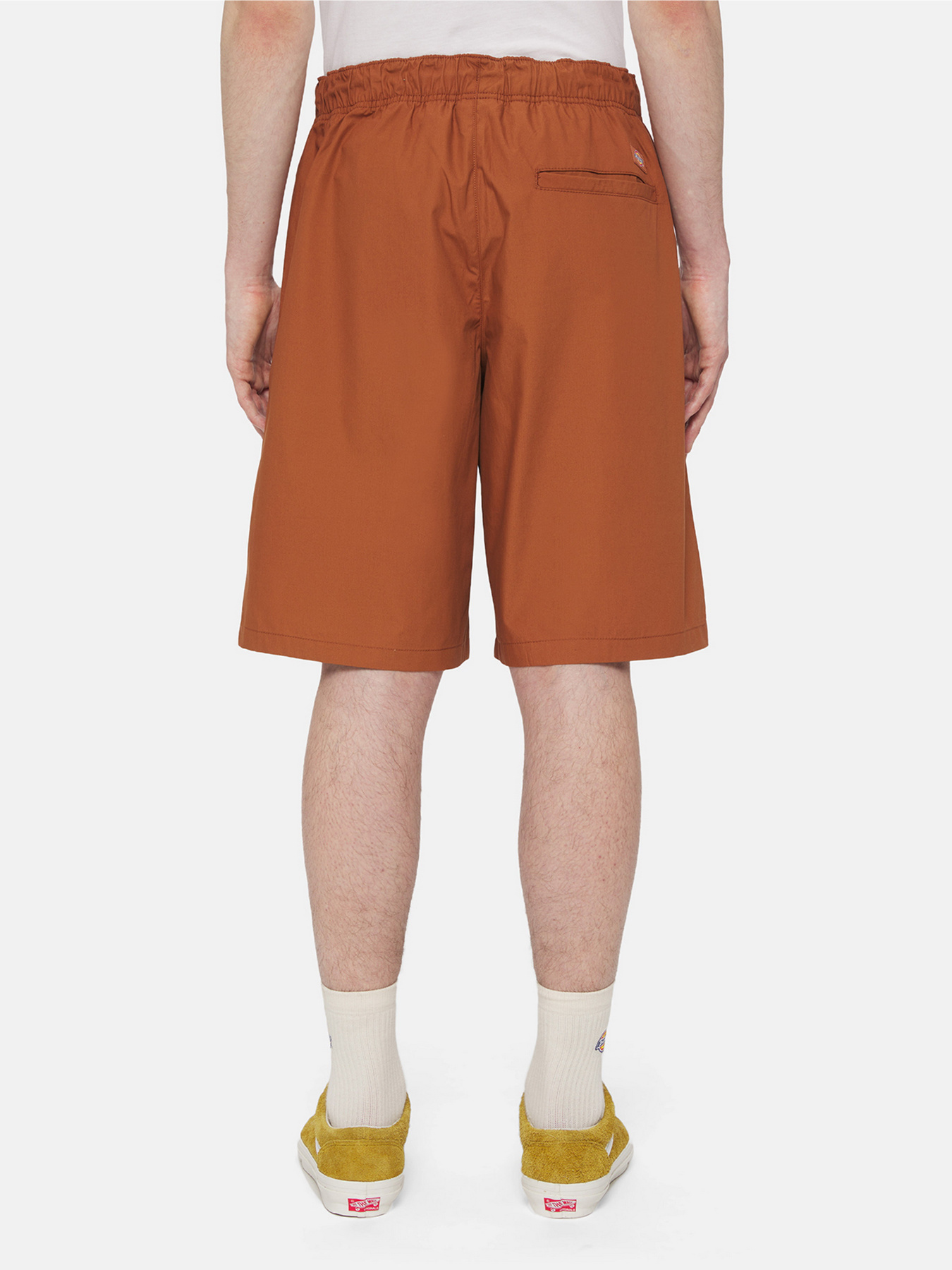 Шорти Dickies Fishersville Cargo модель DK0A4YSIH161 Фото