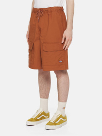 Шорти Dickies Fishersville Cargo модель DK0A4YSIH161 Фото
