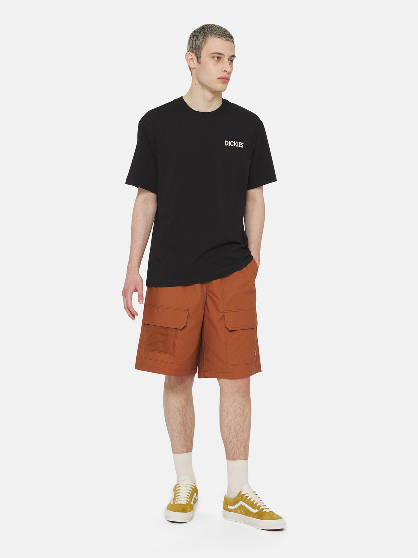 Повсякденні шорти Dickies Fishersville Cargo модель DK0A4YSIH161 Фото