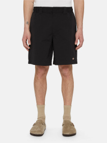 Шорти Dickies Fincastle модель DK0A4YSLBLK1 Фото