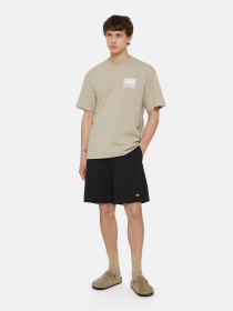 Повседневные шорты Dickies Fincastle модель DK0A4YSLBLK1 Фото