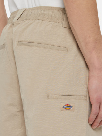 Шорти Dickies Fincastle модель DK0A4YSLSS01 Фото