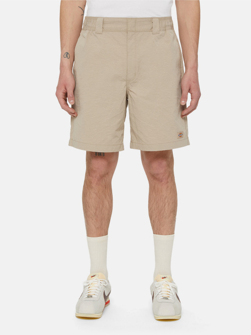 Шорти Dickies Fincastle Модель DK0A4YSLSS01 Фото