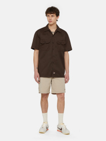 Повседневные шорты Dickies Fincastle модель DK0A4YSLSS01 Фото