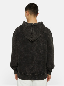 Худи Dickies Neington модель DK0A4YYOH861 Фото