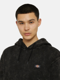 Худи Dickies Neington модель DK0A4YYOH861 Фото