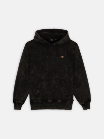 Худи Dickies Neington модель DK0A4YYOH861 Фото