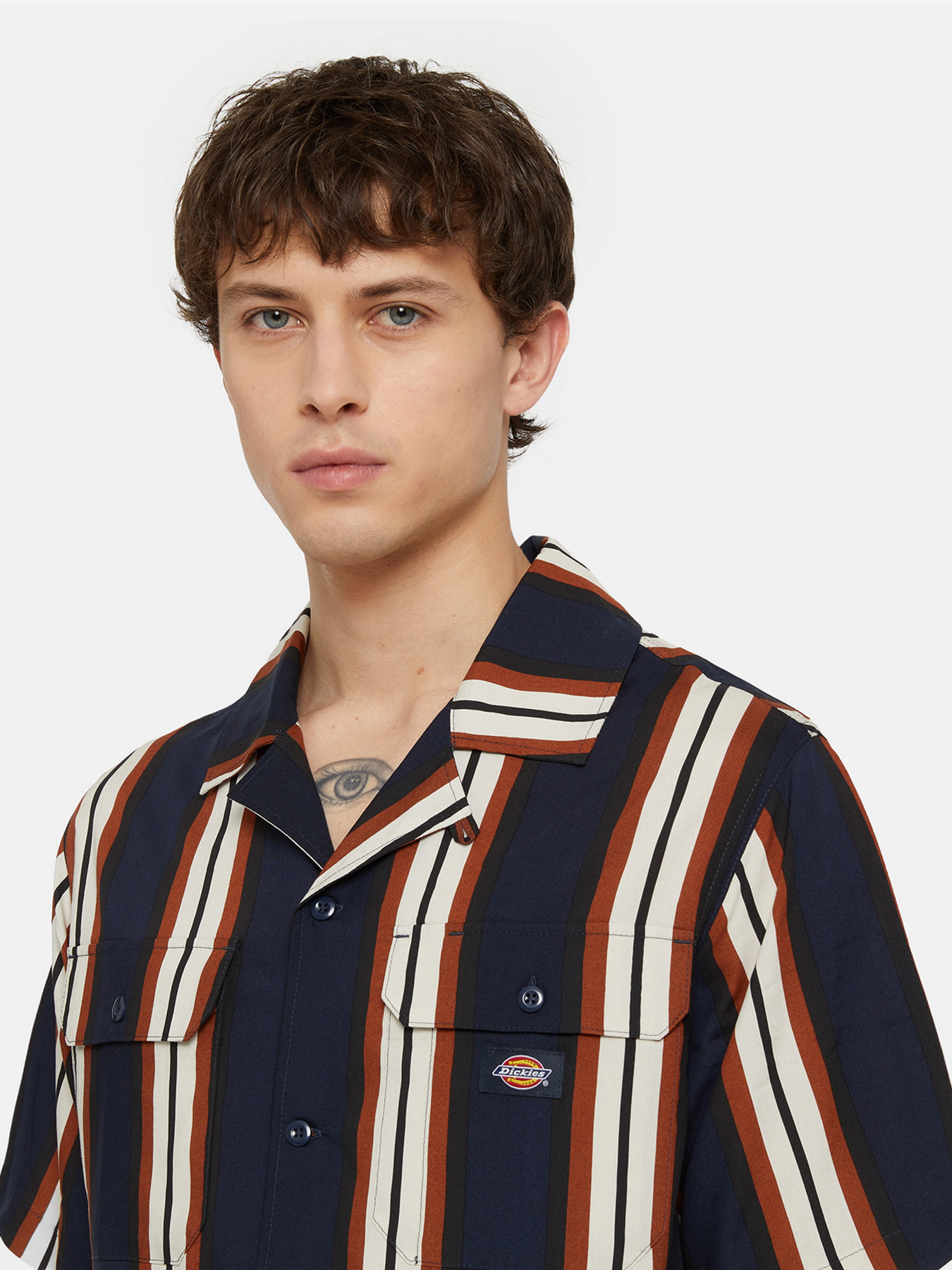 Сорочка Dickies Forest Ss модель DK0A4YYSDNX1 Фото