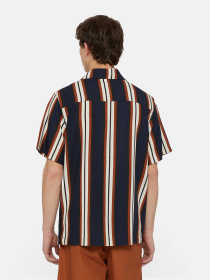 Сорочка Dickies Forest Ss модель DK0A4YYSDNX1 Фото