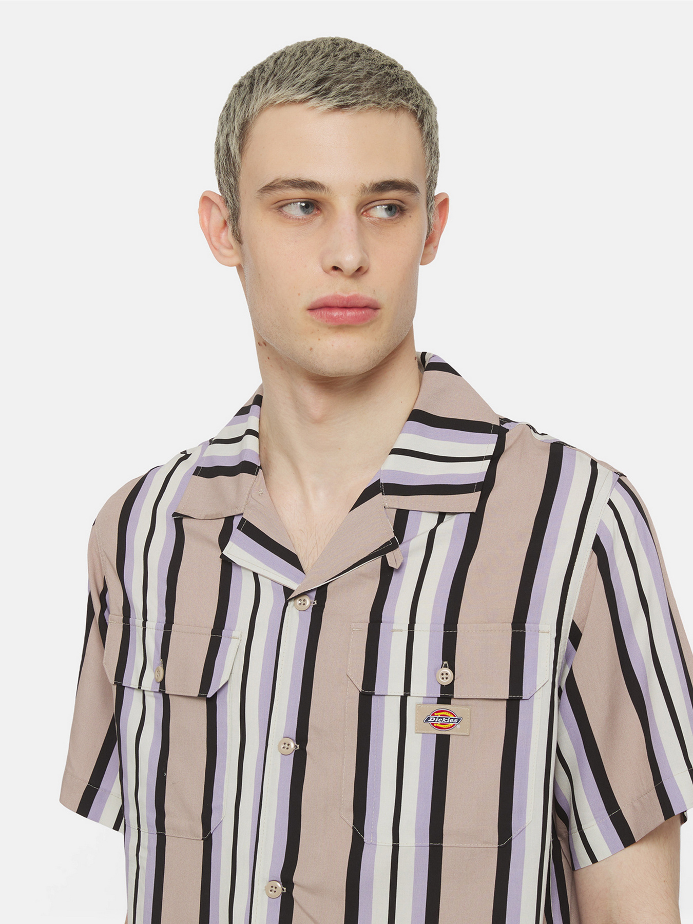 Сорочка Dickies Forest Ss Модель DK0A4YYSSS01 Фото