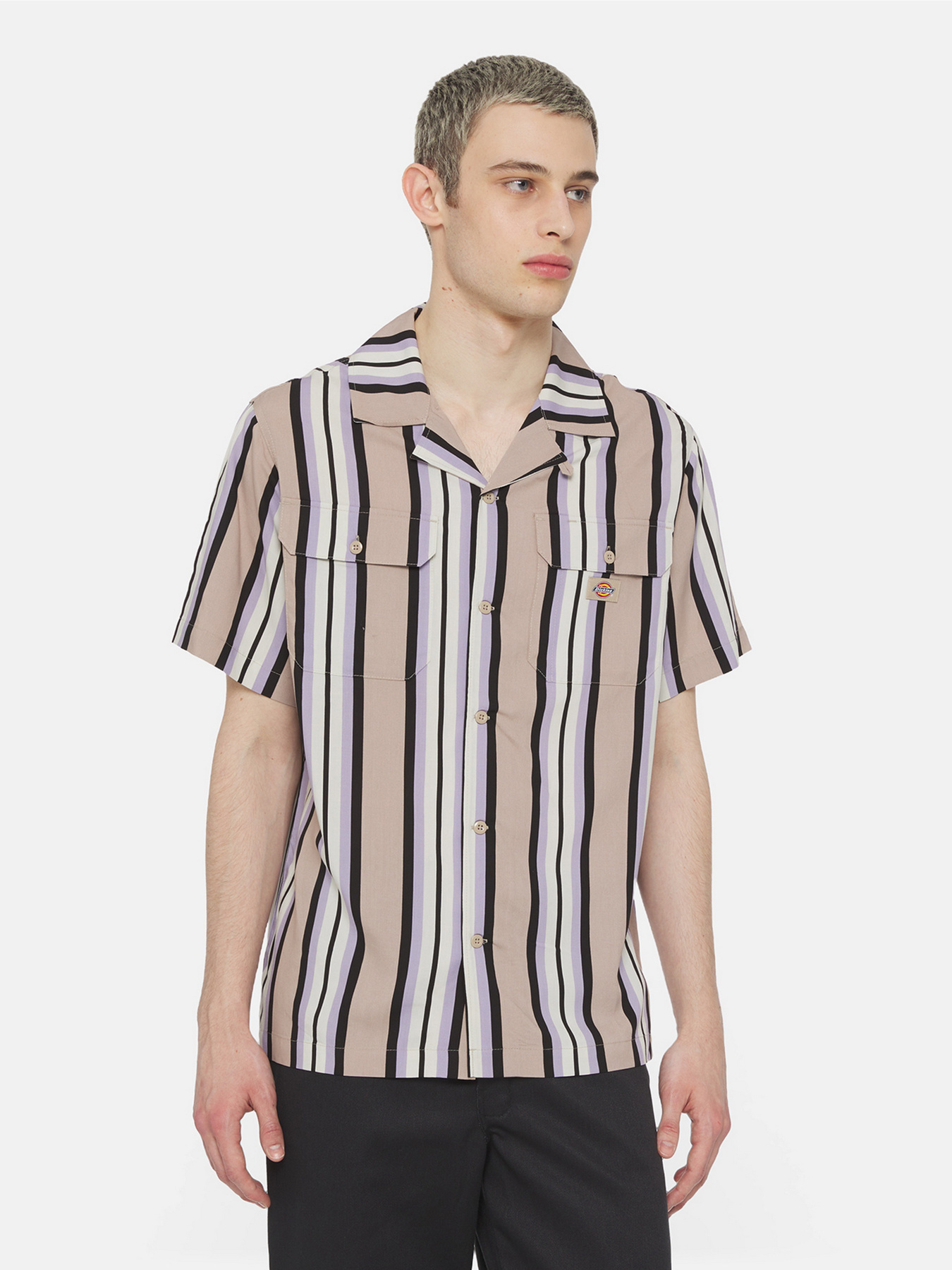 Сорочка Dickies Forest Ss Модель DK0A4YYSSS01 Фото