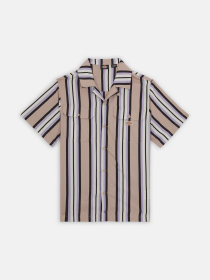 Сорочка Dickies Forest Ss Модель DK0A4YYSSS01 Фото