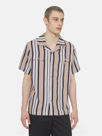 Рубашка Dickies Forest Ss модель DK0A4YYSSS01 Фото