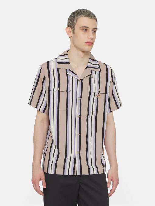 Сорочка повсякденна Dickies Forest Ss модель DK0A4YYSSS01 Фото