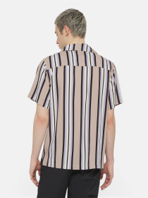 Рубашка повседневная Dickies Forest Ss модель DK0A4YYSSS01 Рубашка повседневная Dickies Forest Ss модель DK0A4YYSSS01 Фото