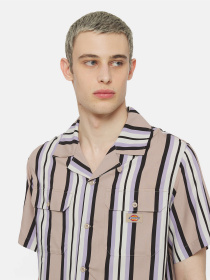 Рубашка повседневная Dickies Forest Ss модель DK0A4YYSSS01 Рубашка повседневная Dickies Forest Ss модель DK0A4YYSSS01 Фото