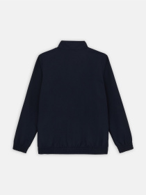 Демісезонна куртка Dickies Guy Mariano модель DK0A4YYYDNX1 Фото