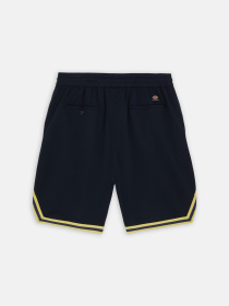 Шорты Dickies Guy Mariano Mesh модель DK0A4YZ2DNX1 Фото