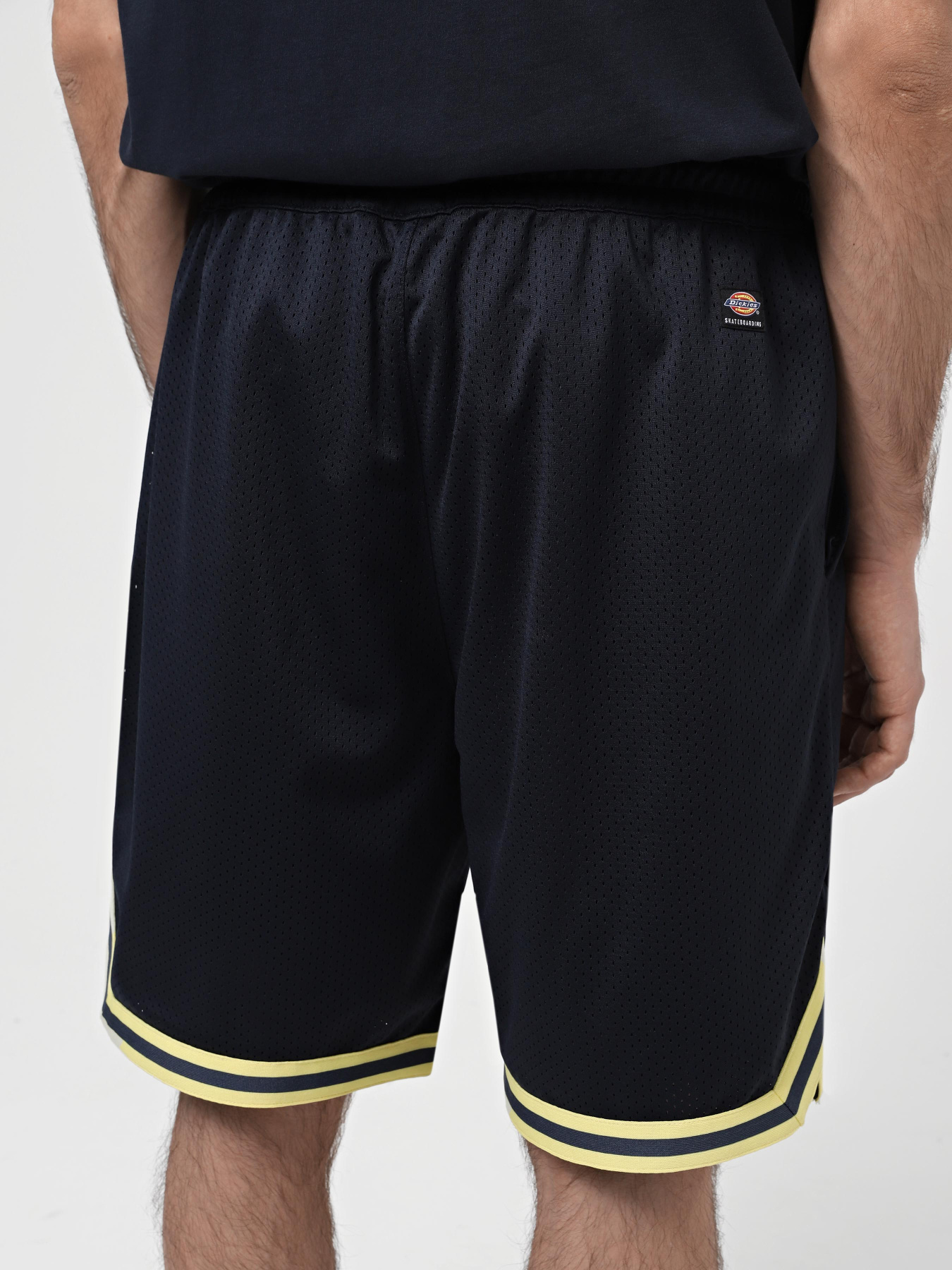 Повсякденні шорти Dickies Guy Mariano Mesh модель DK0A4YZ2DNX1 Фото