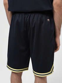 Повсякденні шорти Dickies Guy Mariano Mesh модель DK0A4YZ2DNX1 Фото