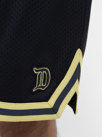 Повсякденні шорти Dickies Guy Mariano Mesh модель DK0A4YZ2DNX1 Фото