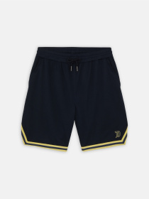 Повсякденні шорти Dickies Guy Mariano Mesh модель DK0A4YZ2DNX1 Фото