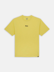 Футболка Dickies Guy Mariano Ss модель DK0A4YZ3J501 Фото