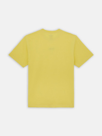 Футболка Dickies Guy Mariano Ss модель DK0A4YZ3J501 Фото