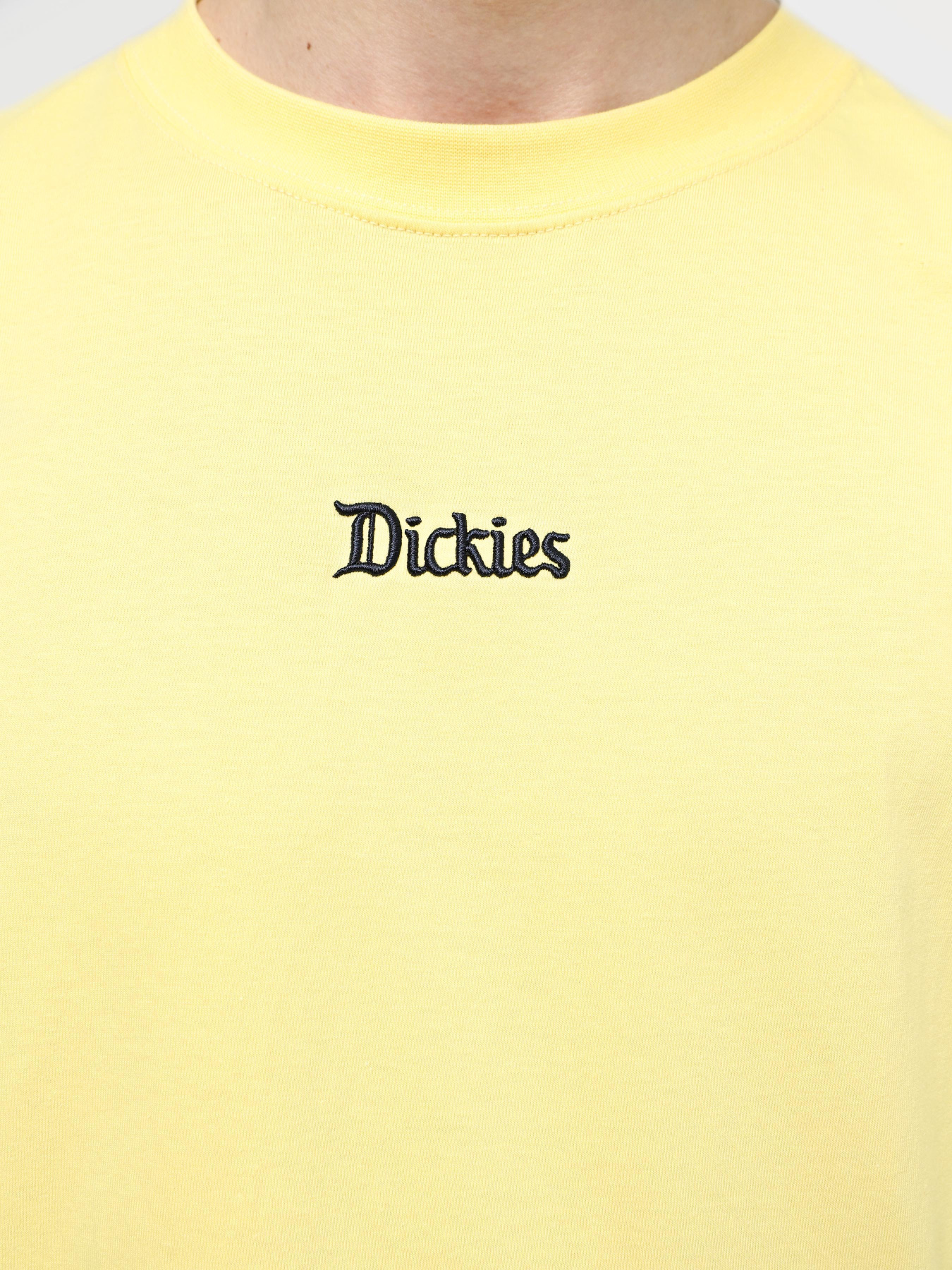 Футболка Dickies Guy Mariano Ss модель DK0A4YZ3J501 Футболка Dickies Guy Mariano Ss модель DK0A4YZ3J501 Фото