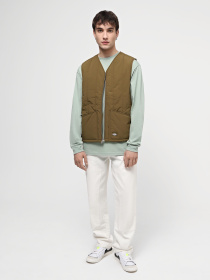 Жилет Dickies Delivery Vest модель DK0A4Z29NVR1 Фото