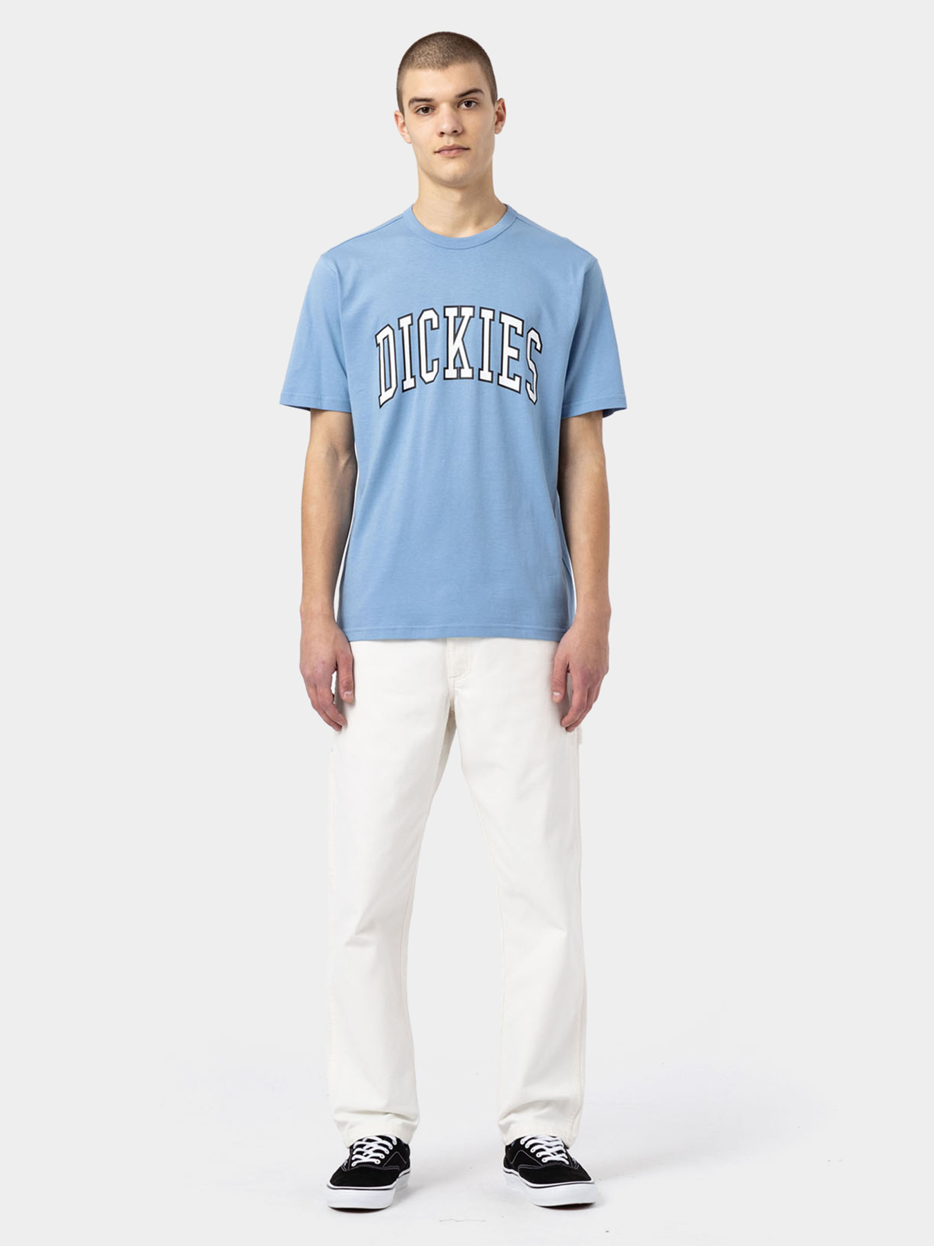 Повсякденні штани Dickies Duck Canvas модель DK0A4XIFC431 Фото