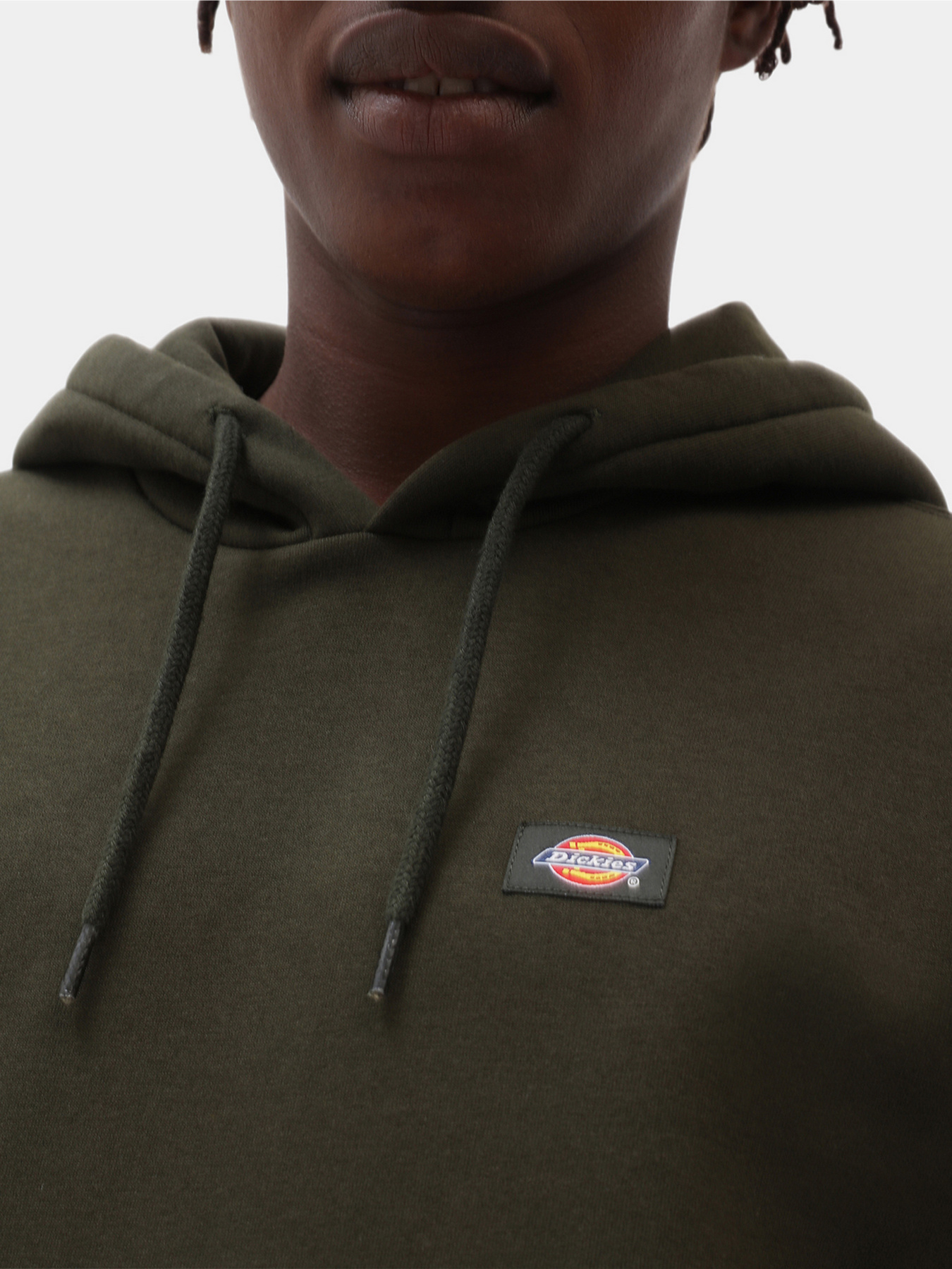 Худи Dickies Oakport модель DK0A4XCDOGX1 Фото