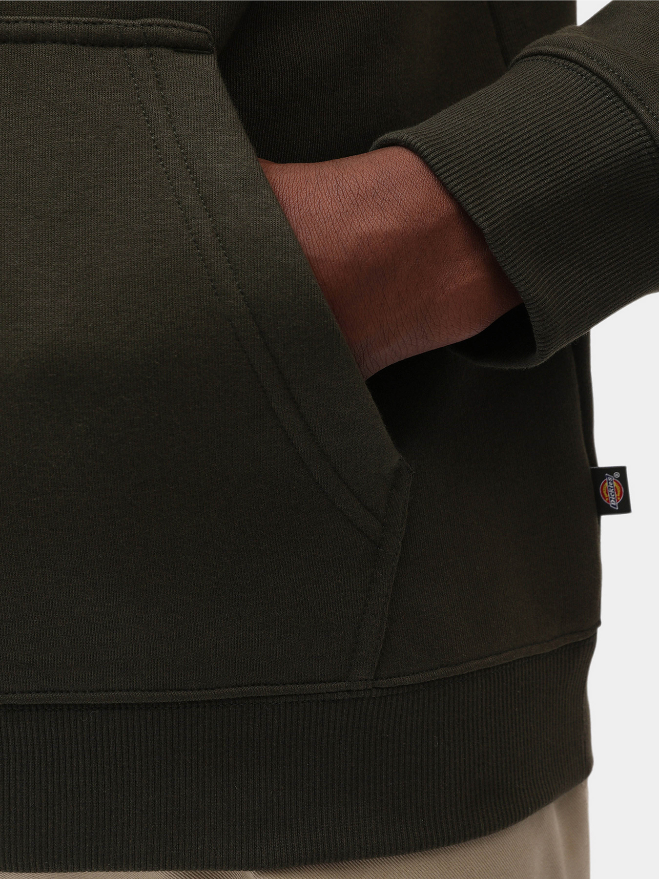 Худі Dickies Oakport модель DK0A4XCDOGX1 Фото