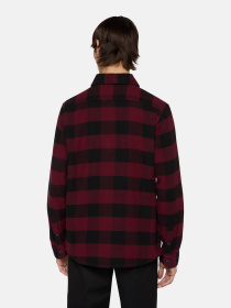 Сорочка Dickies Sacramento модель DK0A4XDZZIN1 Фото