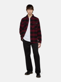 Сорочка повсякденна Dickies Sacramento модель DK0A4XDZZIN1 Сорочка повсякденна Dickies Sacramento модель DK0A4XDZZIN1 Фото