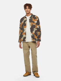 Карго Dickies Johnson модель DK0A4YF20IP1 Карго Dickies Johnson модель DK0A4YF20IP1 Фото