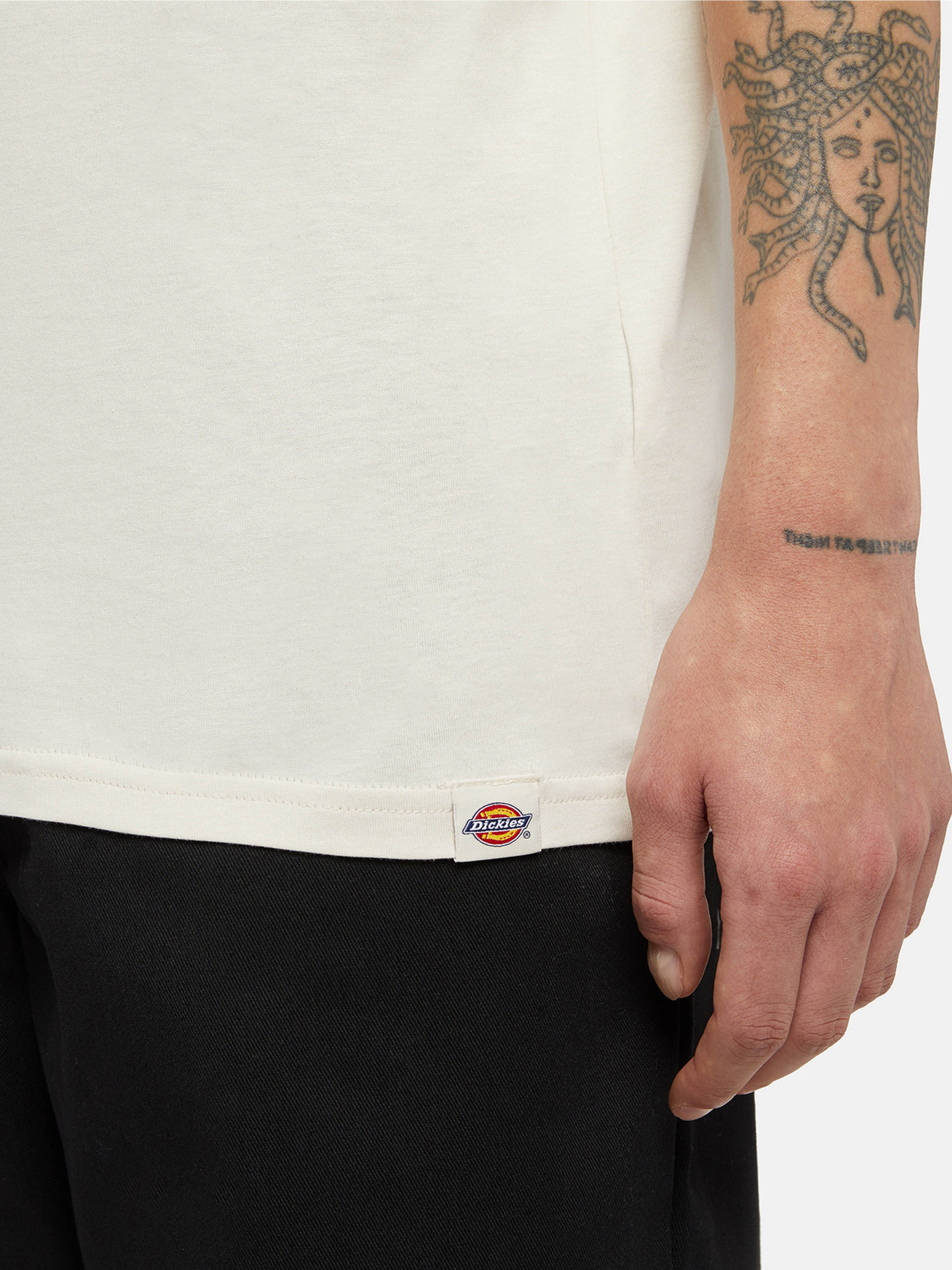 Футболка Dickies Enterprise модель DK0A4YRNF901 Фото