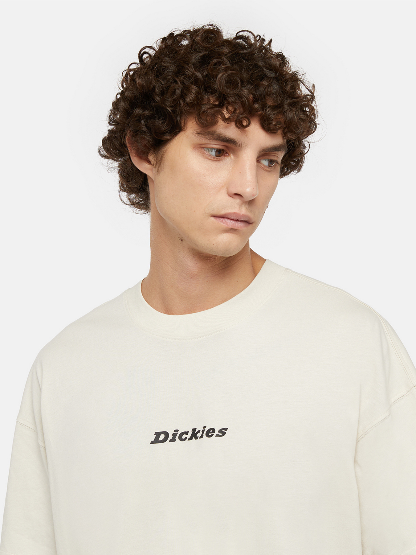 Футболка Dickies Enterprise модель DK0A4YRNF901 Фото