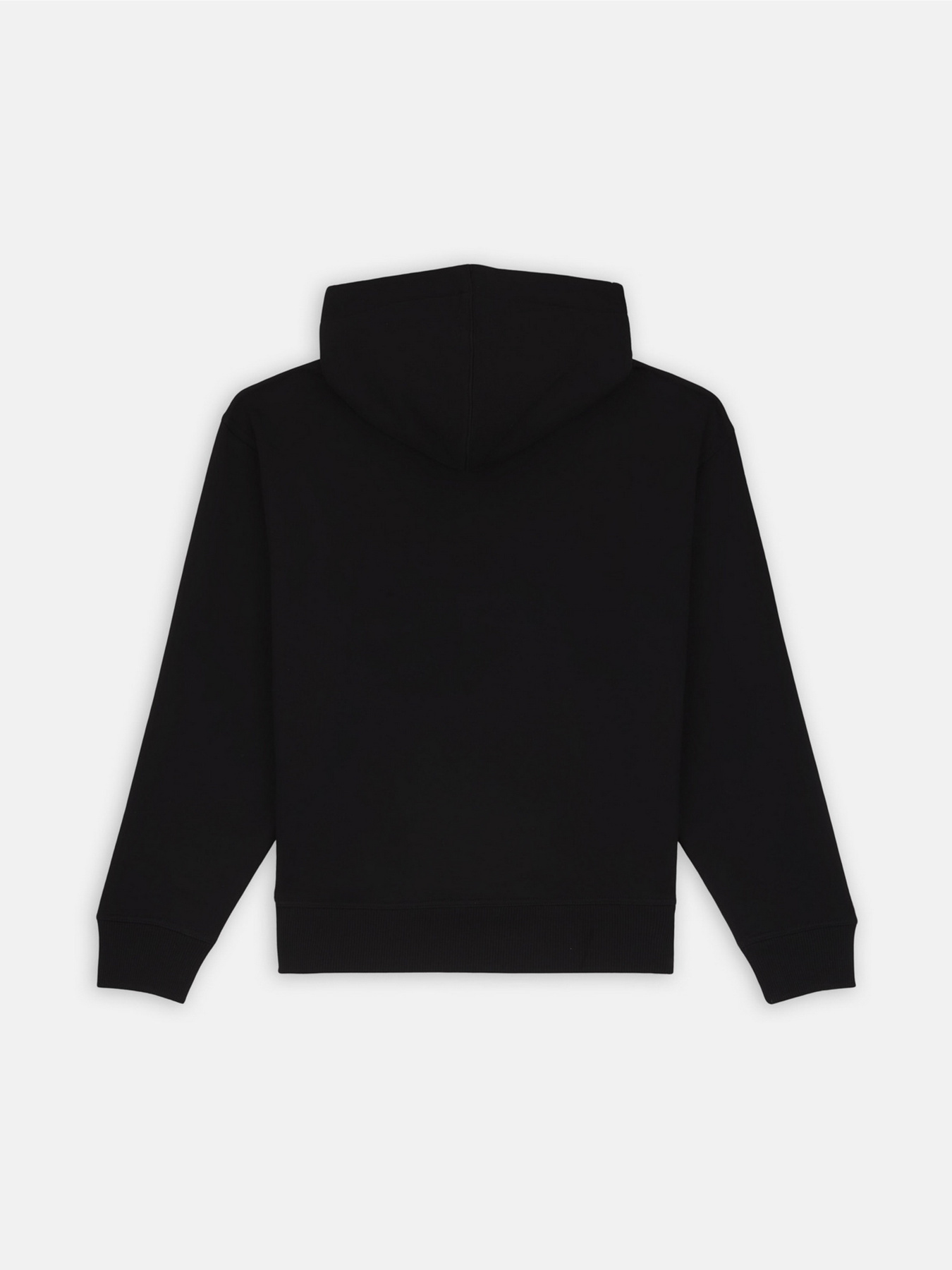 Худі Dickies Enterprise модель DK0A4Z2NBLK1 Фото